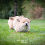 © Frech-Fuchs Photographie / Janine Huber