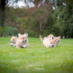 © Frech-Fuchs Photographie / Janine Huber