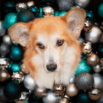Weihnachtskugeln Kranz basteln Corgi Türkis