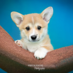 © Frech-Fuchs / Janine Huber