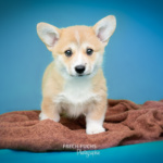 © Frech-Fuchs / Janine Huber